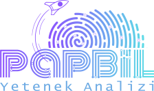 Papbil Yazılım Teknolojileri A.Ş.