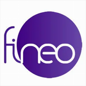 Fineo Dijital Dönüşüm A.Ş.