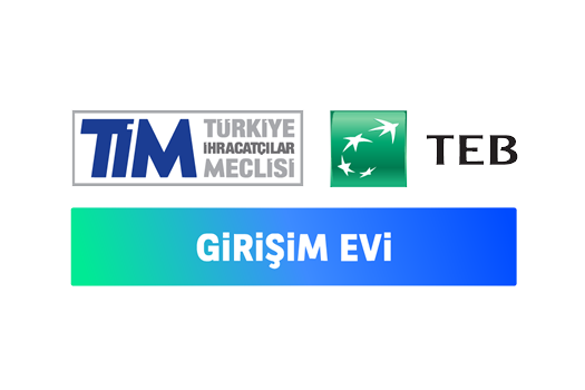 Timle Girişim